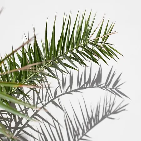 Old Square & , 73 Steps From The Street Αμάλφι