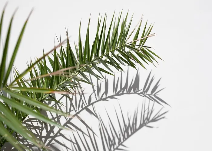 Old Square & , 73 Steps From The Street أمالفي